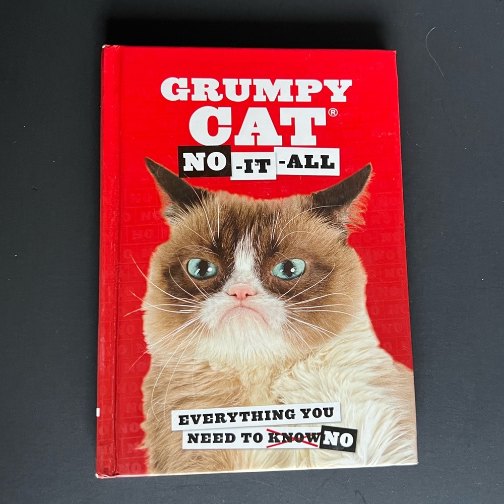 Grumpy Cat No it All
